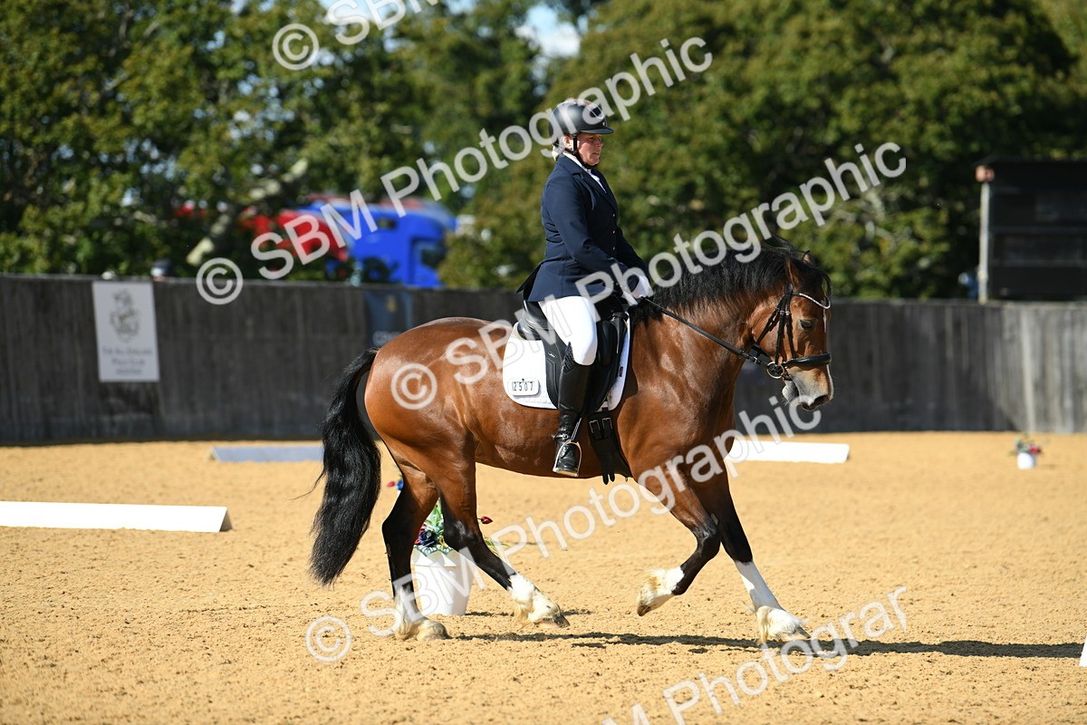 SBM_25043 - D13 - Grand Tour Championship - Prelim 12