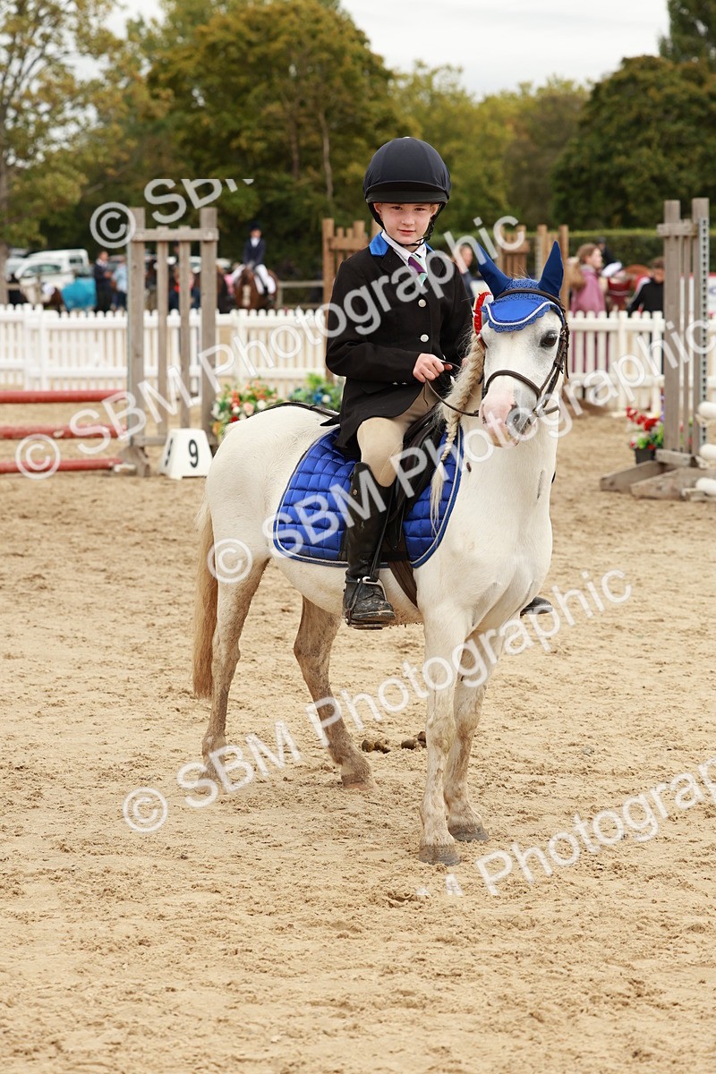 SBM_65334 - Supreme Championship 50cm & 55cm