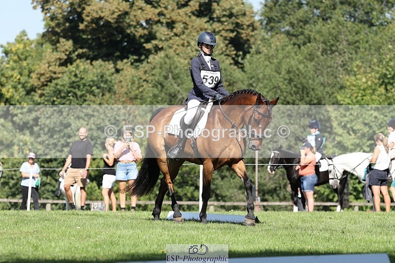 250823A-104945-27801 - Arena D