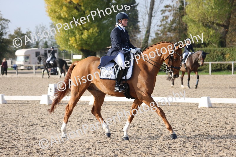 20251012-1113 - Class 12 - PSG