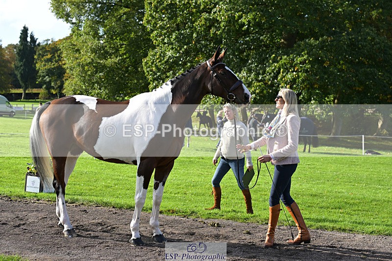 241023-130603-00069 - 004-Claire.Deuten-FOXRIDGE.HIGH.JINX