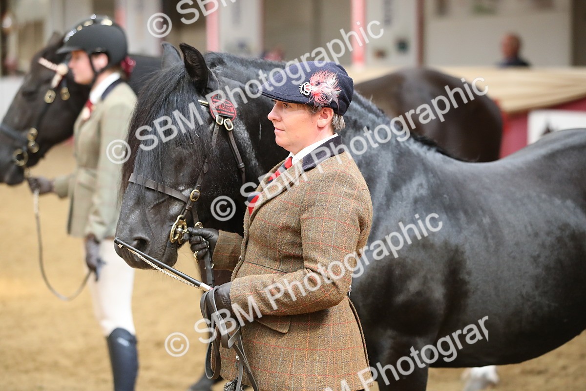 SBM_05325 - Class 8R - Regional IH Veteran