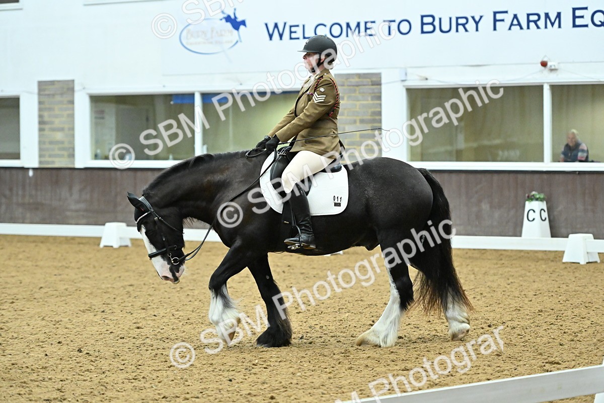 SBM_007469 - Class 81 - Novice 3