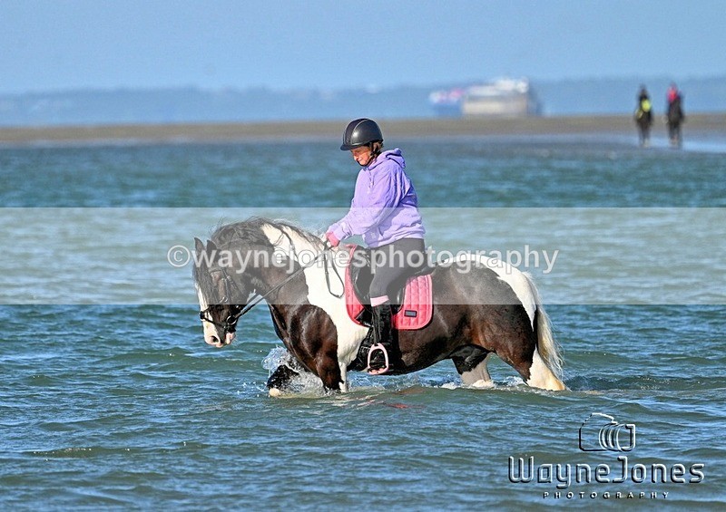 WJ7_3359_1 - Kellie & Churchill ... do Hayling Island 25-08-24