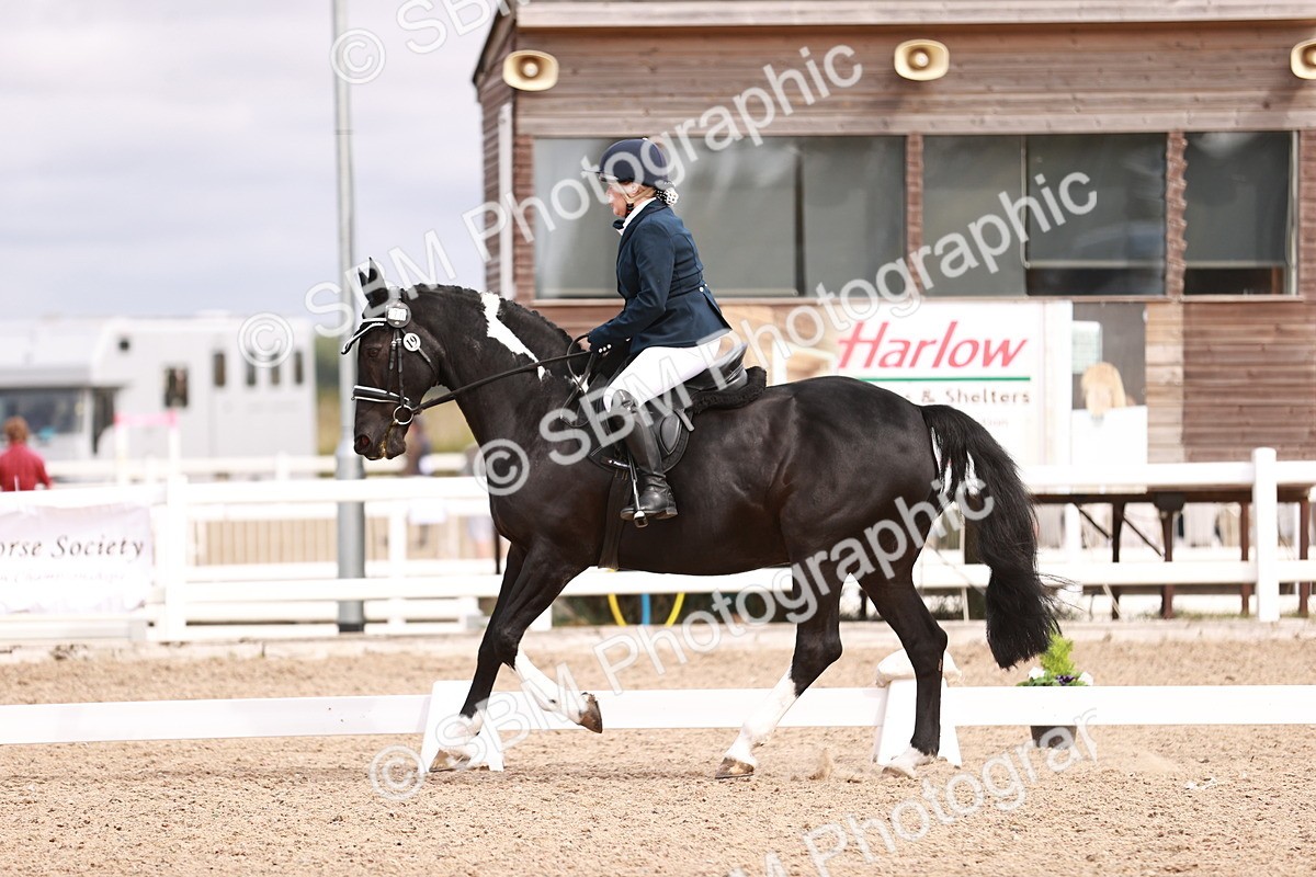 SBM_04156 - Class 36 - Prelim 5