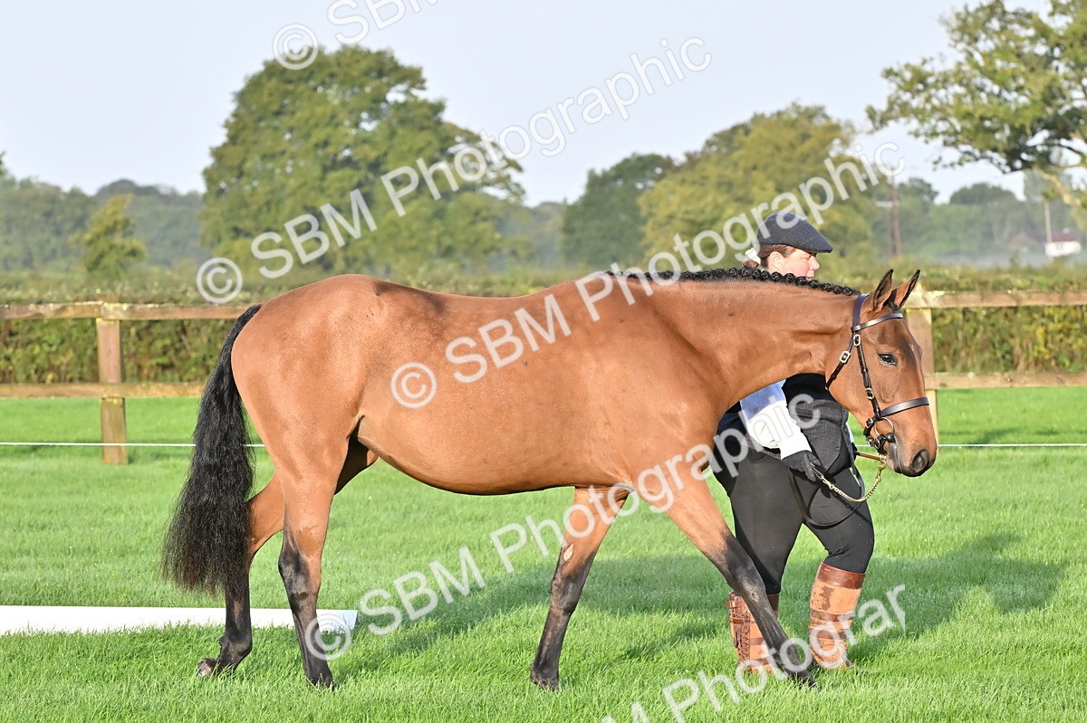 SBM_32552 - S15 - Top Turnout In Hand