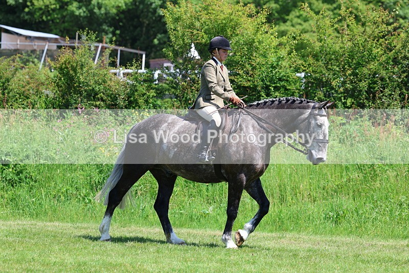 3E7A8182 - Class 13: Ridden Hunter