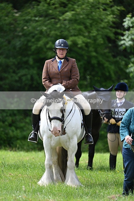 WJ7_1583 - Class 11 Condition & Turnout