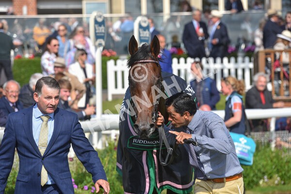 yr18082021r4-185 - Race 4 3.35pm Juddmonte International Stakes (British Champion Series race)