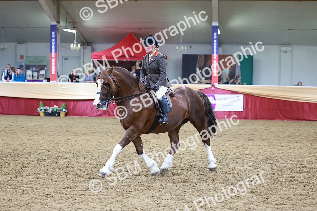 SBM_18827 - Class 952 - M&M Ridden Supreme Final