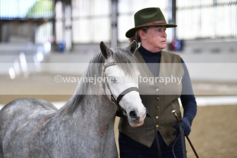 WJ5_5322 - Class 4 In hand M&M - small breeds