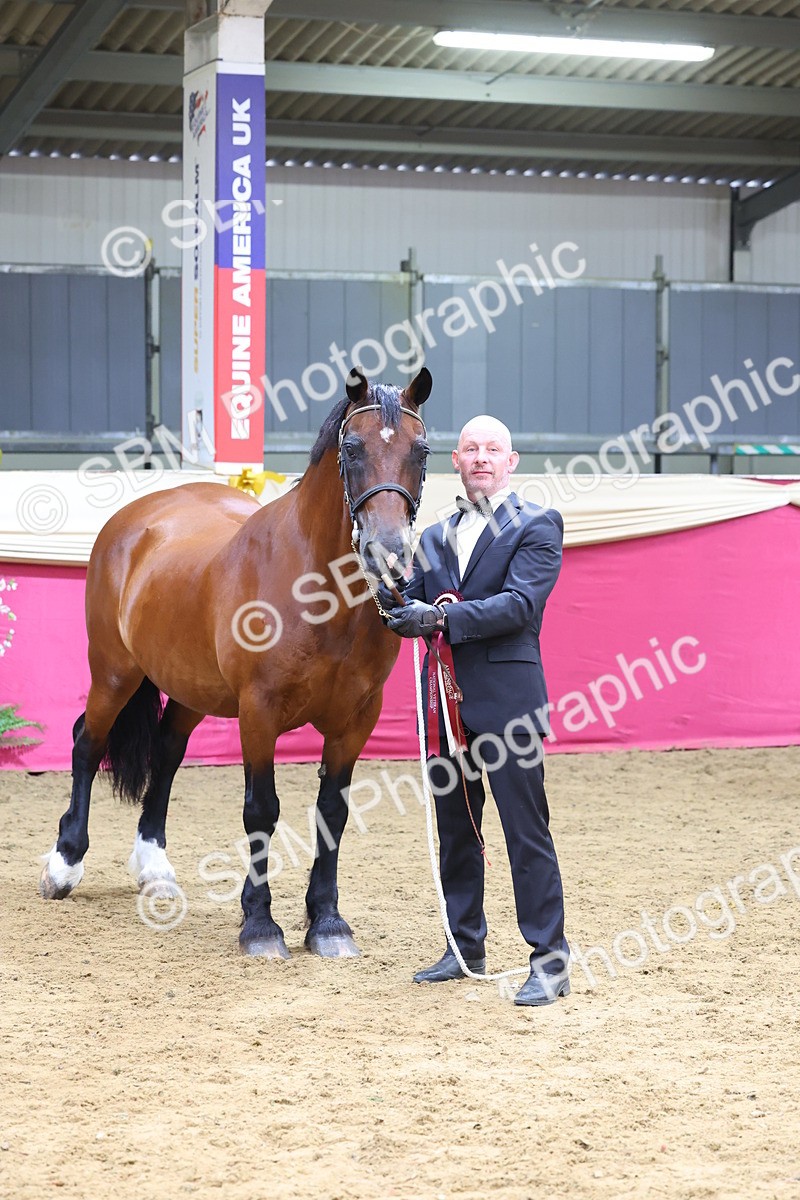 SBM_22962 - Class 903 - Supreme Final - IH Pre Vet