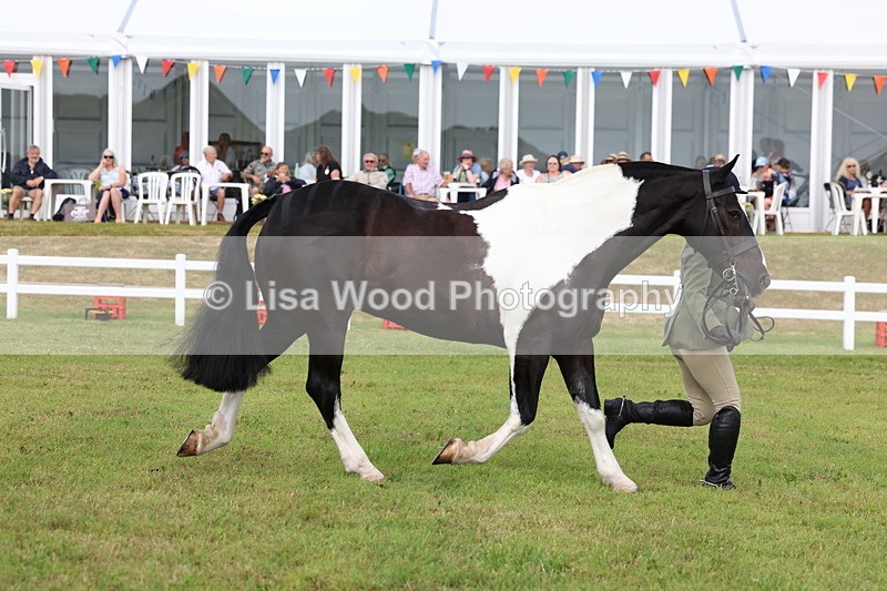 3E7A0409 - Class 6: Rising Star Maxi Cobs