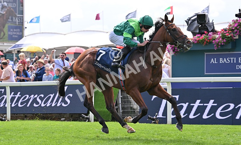 190826-048 Haffner - Race 2 14.25pm Tattersalls Acomb Stakes