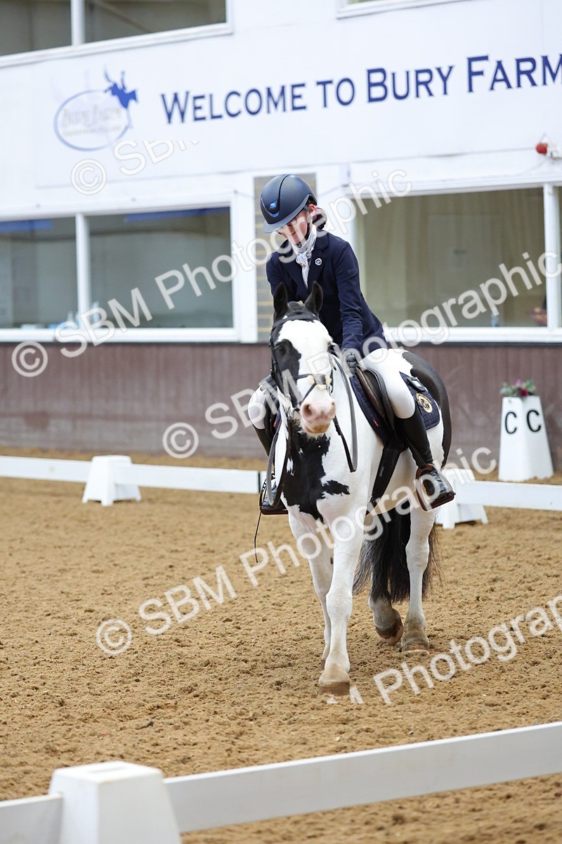SBM_003101 - Novice