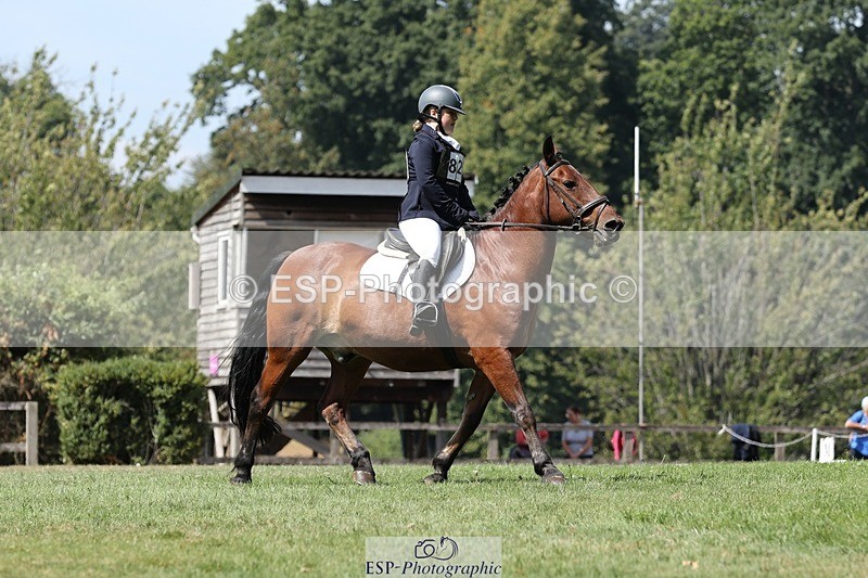 250823A-124348-29576 - Arena D