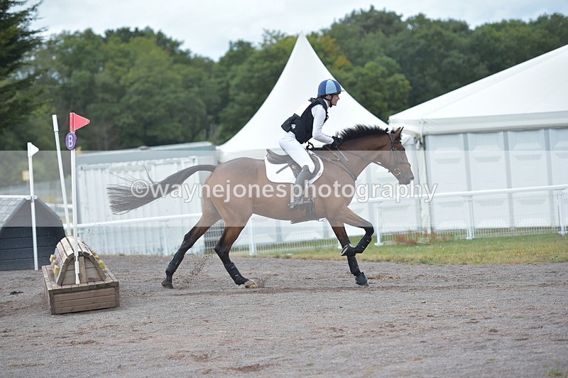 NGP_2919 - XC Time 11:37 to 11:57