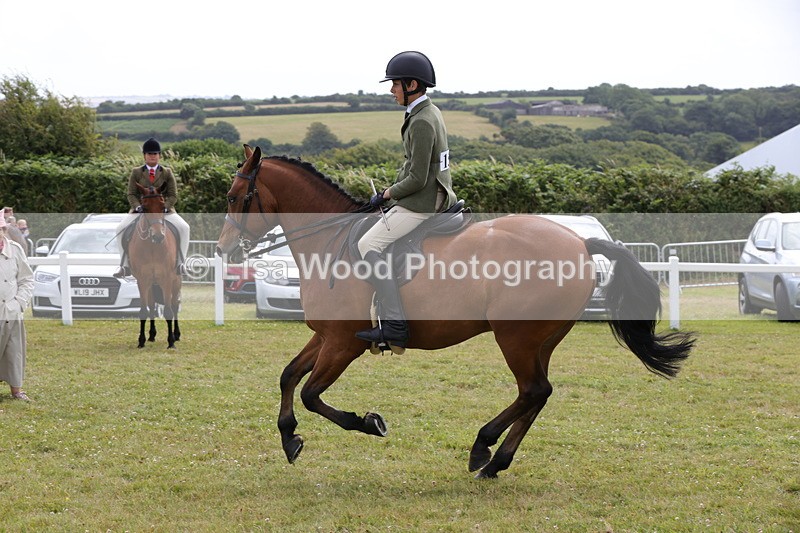 1X9A4056 - Class 32: Show Hunter Pony 153cm and under