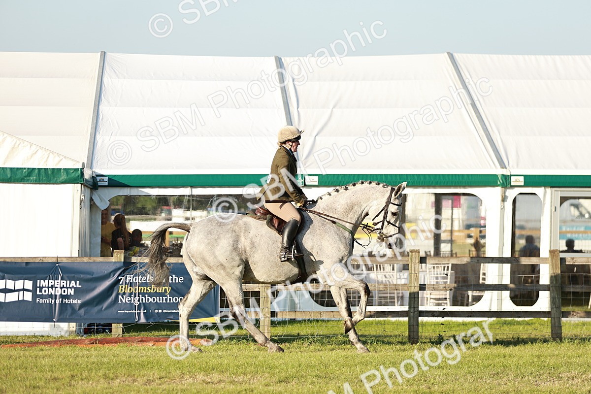 SBM_20467 - Class 117-119 - Sport Horse Working Hunter