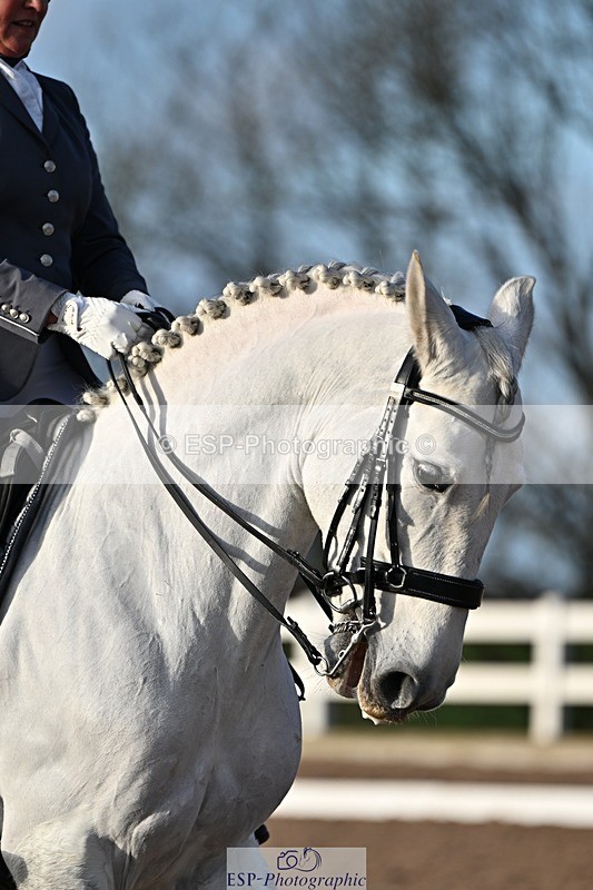 241214-134815-02582 - 102-PAULA.LEE-Deseado.Santo