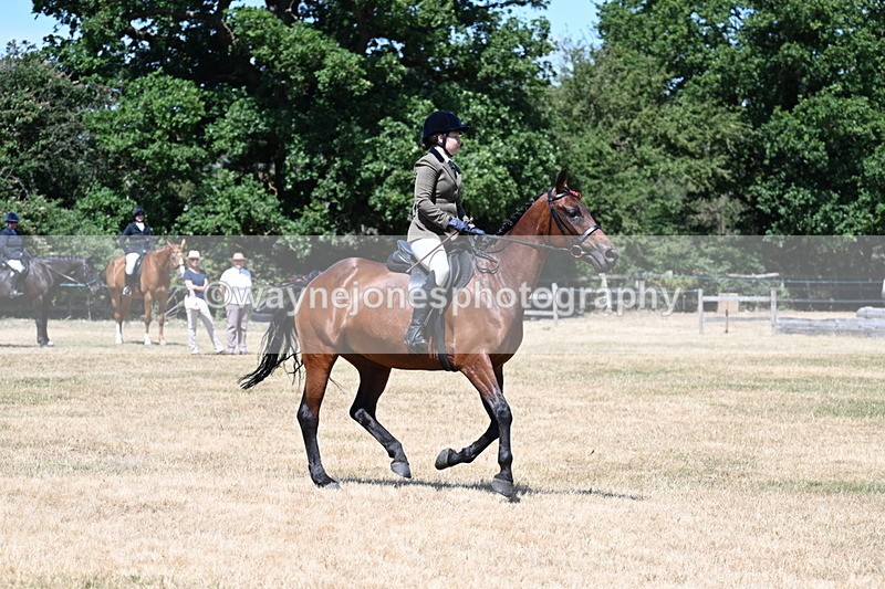 WJ7_3082 - Class 7 Riding Club Show Horse