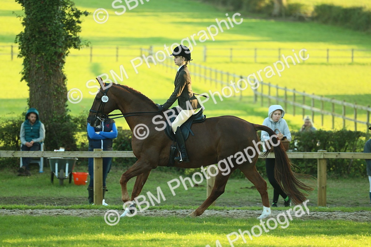 SBM_56457 - S14 - Riding Club Horse