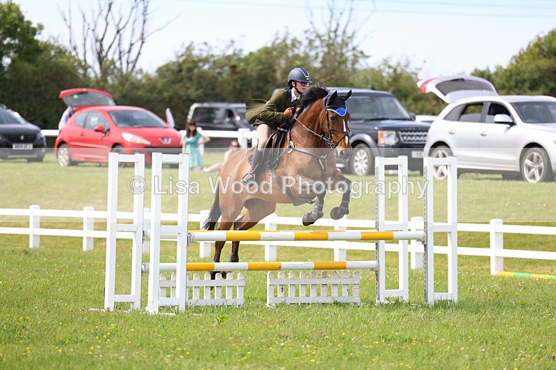 3E7A1877 - Class 13: Senior British Novice/90cm open