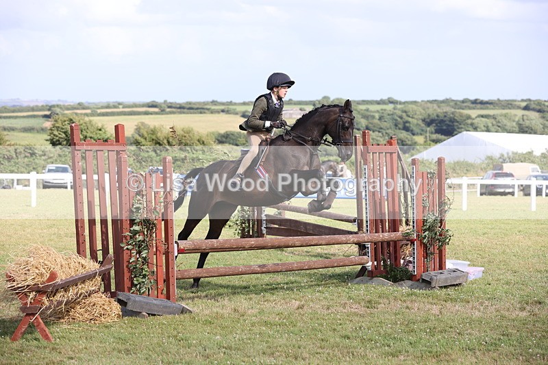 JPP_2784 - Class 20: Working Hunter 70cm