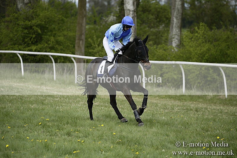 PtP 170417 62 - Old Berks Point-to-Point Lockinge 17/04/17