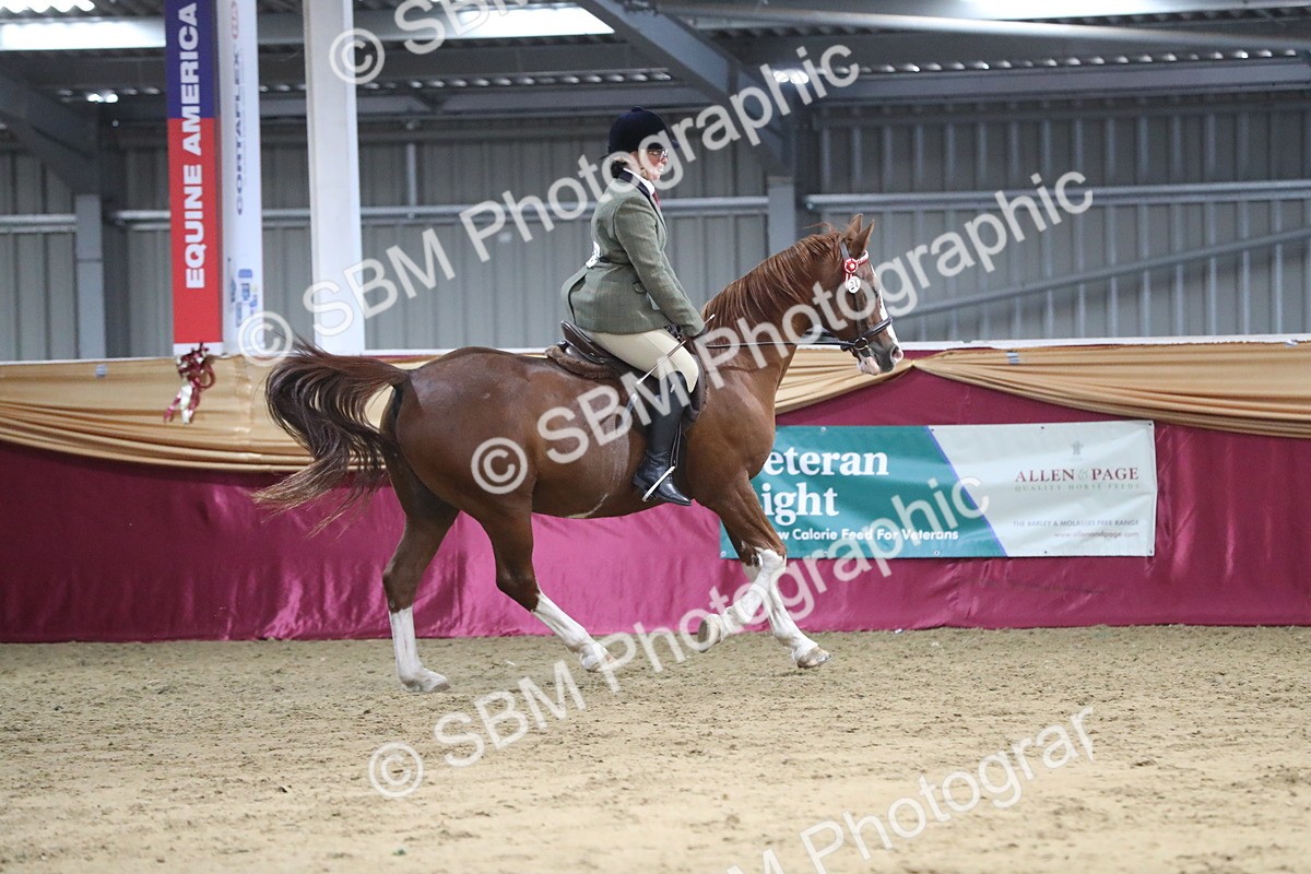 SBM_08449 - Class 11R Regional Ridden Veteran