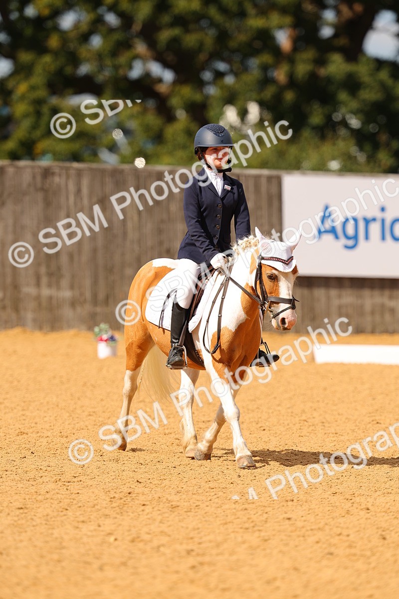 SBM_44107 - D22 - Junior Championship - Intro B