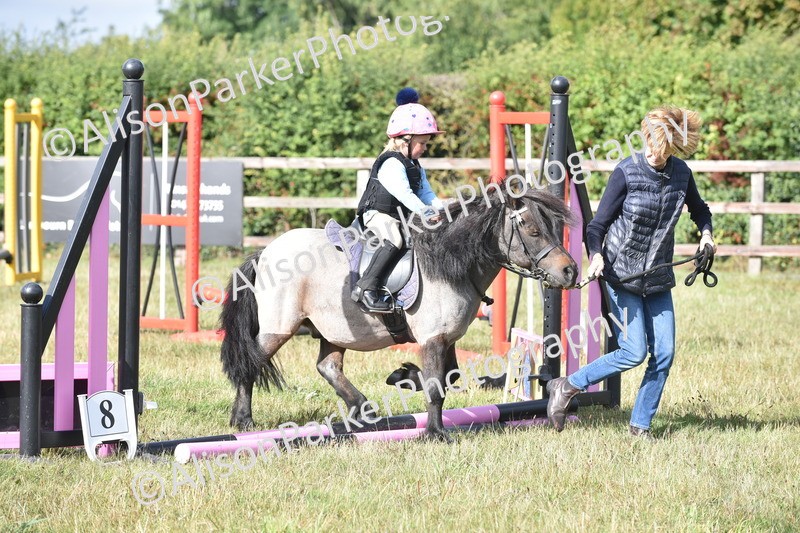 20250831-0374 - Class 6 - Minimus Jumping 30cm