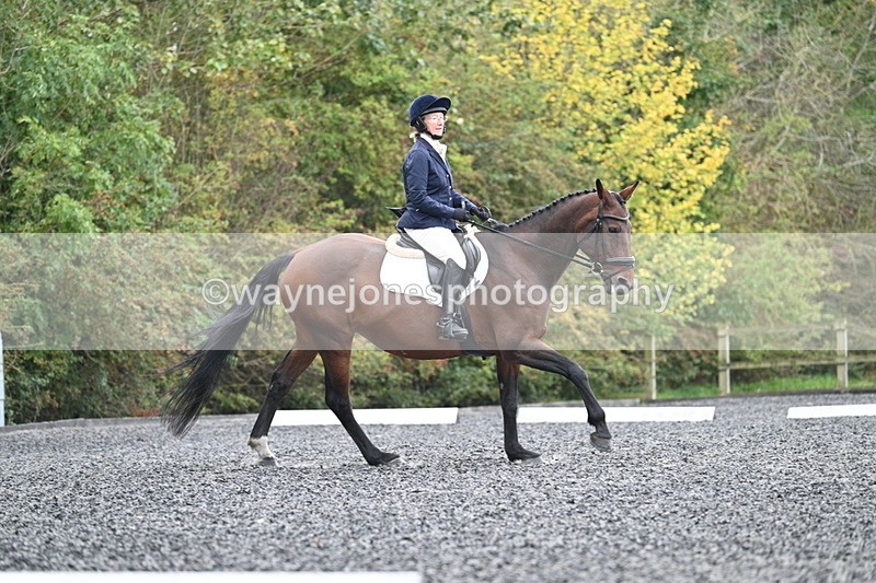 WJ7_4124 - Time 11:43 to 12:09