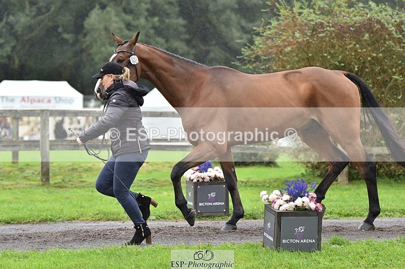 231018-122506-00277 - 034-COOLEY.PARK.MUZE-Gemma.Stevens-TrotUp