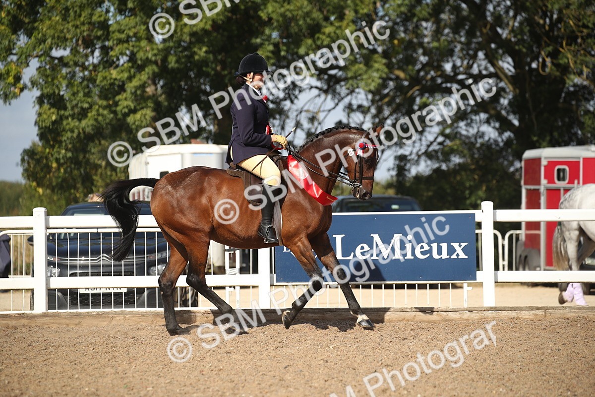 SBM_22877 - Class 602 - 2026 Area - Ridden Veteran