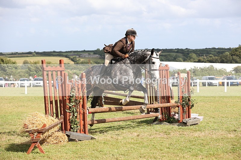 JPP_2682 - Class 20: Working Hunter 70cm