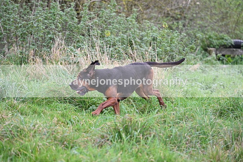 WJ7_8980 - Camera 1 only on this line