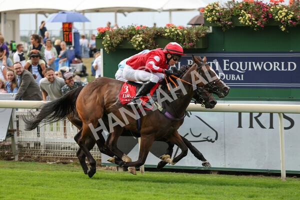 yr04092022p1-43 - 12.30pm 148cm Conditions Pony Race