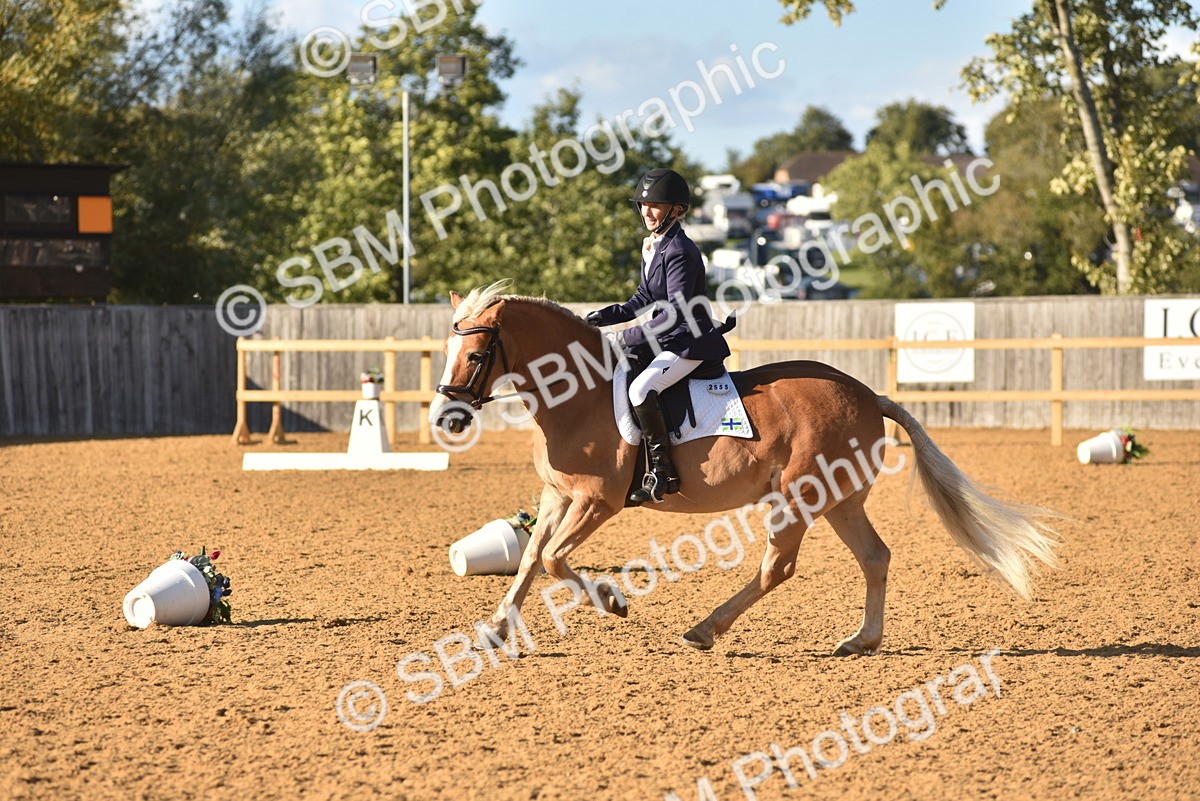 SBM_11417 - D28 - Elementary