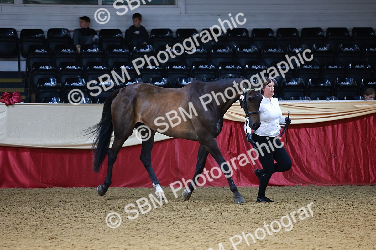 SBM_22296 - Class 902 - Supreme Final - IH Diamond