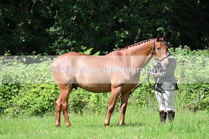 WJ7_1230 - Class 11 Condition & Turnout