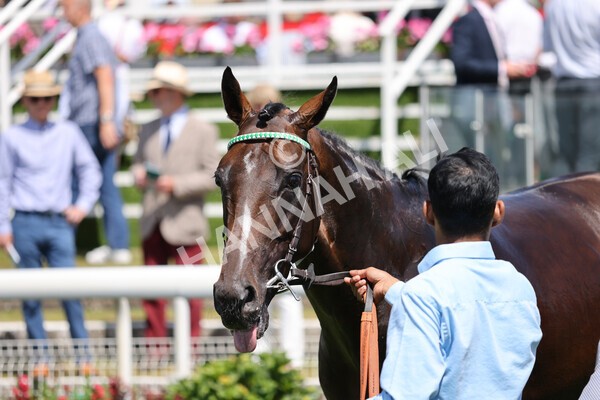 yr09072022r1-67 - Race 1 1.45pm John Smith's Racing Stakes