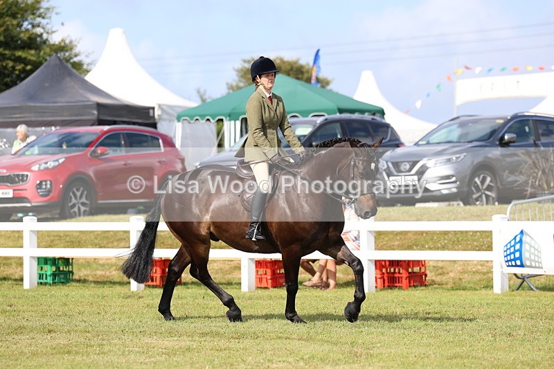 3E7A8878 - Class 3: Rising Star S/L Hunter