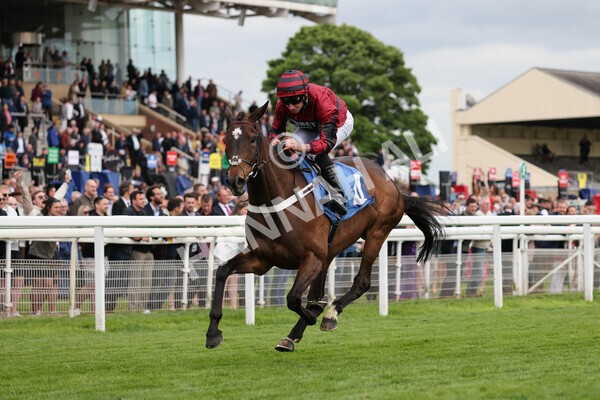 yr12052022r7-26 - Race 7 5.15pm Fidomoney Stakes