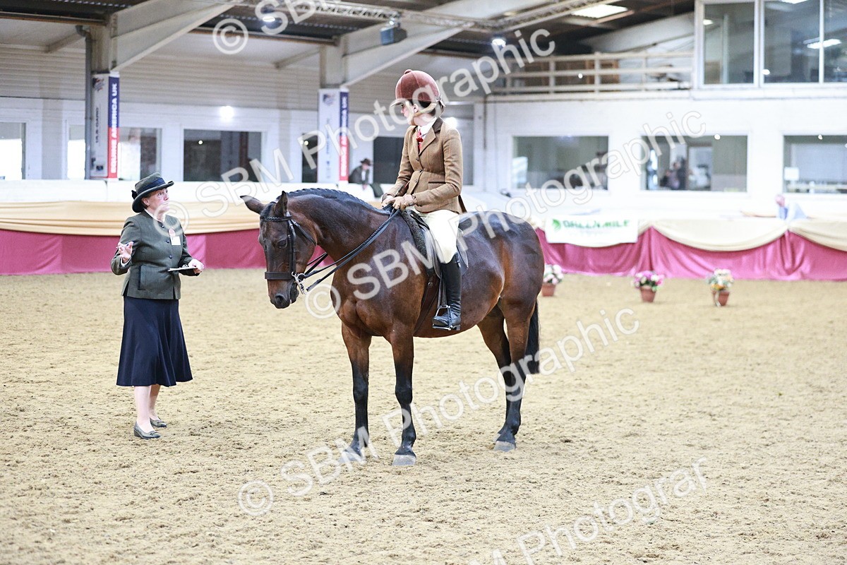 SBM_08223 - Class 11R - Regional Ridden Veteran