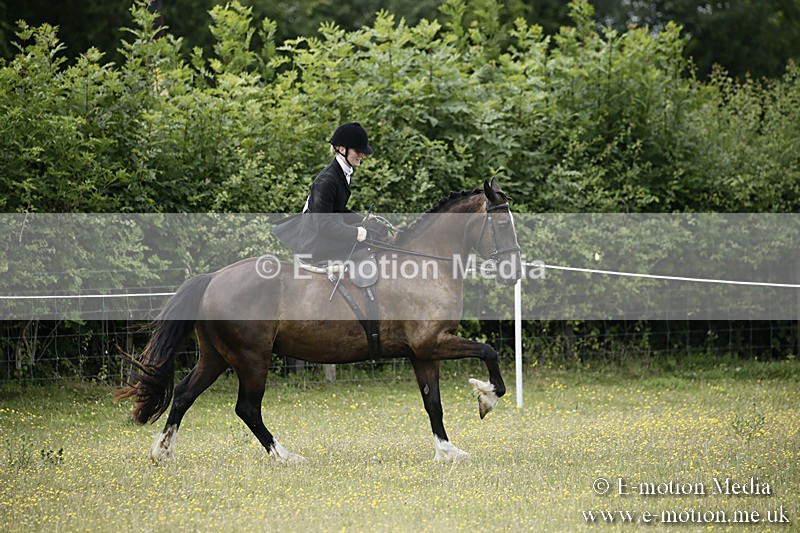 BVR160717-1635 - Side Saddle Classes 16/07/17
