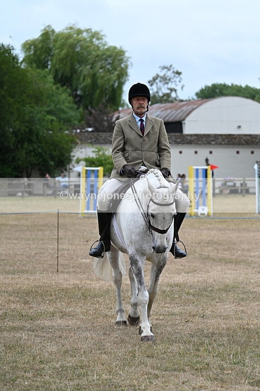 WJ7_0769 - Class 7 Riding Club Show Horse