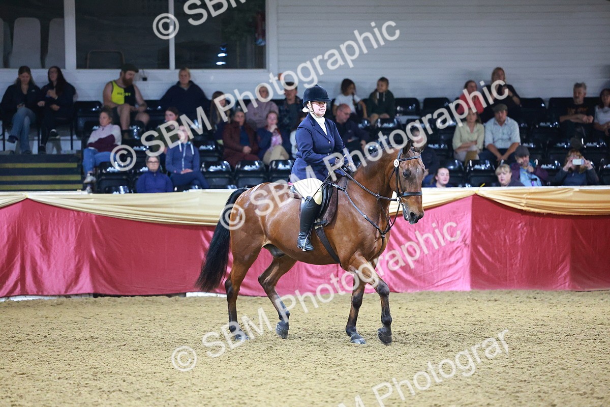 SBM_15687 - Class T - Working Veteran Champ