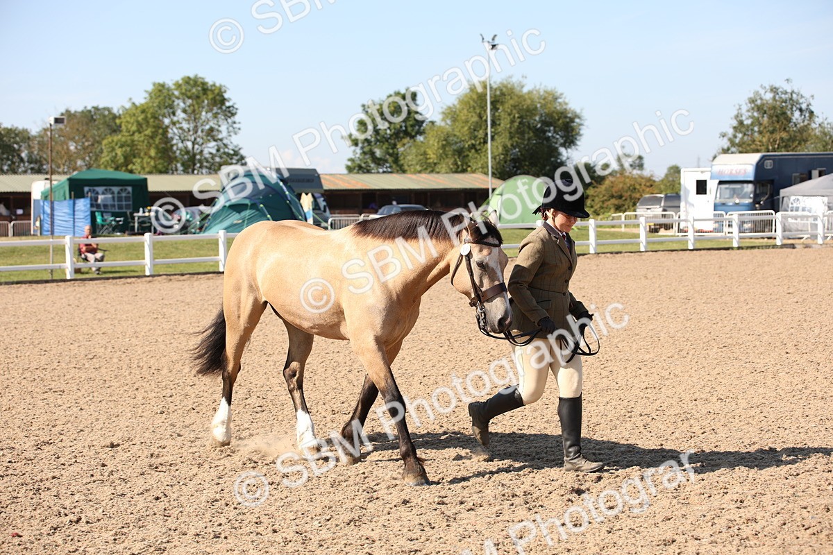 SBM_02730 - Class 16 IH M&M Wildcard