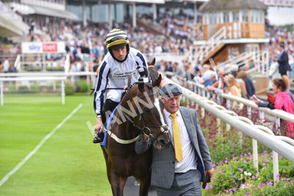 yr24072021r1-53 - Race 1 2.05pm Sky Bet Jump Jockeys Nunthorpe